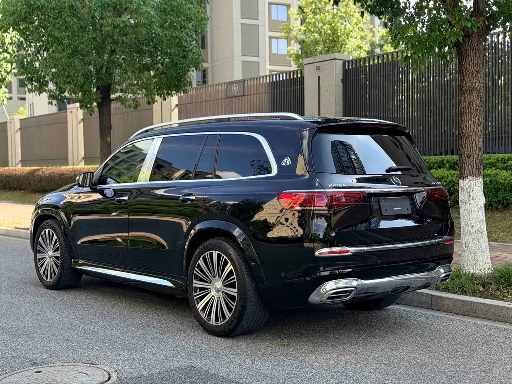 Mercedes-Benz Maybach GLS 2021 — фото 16