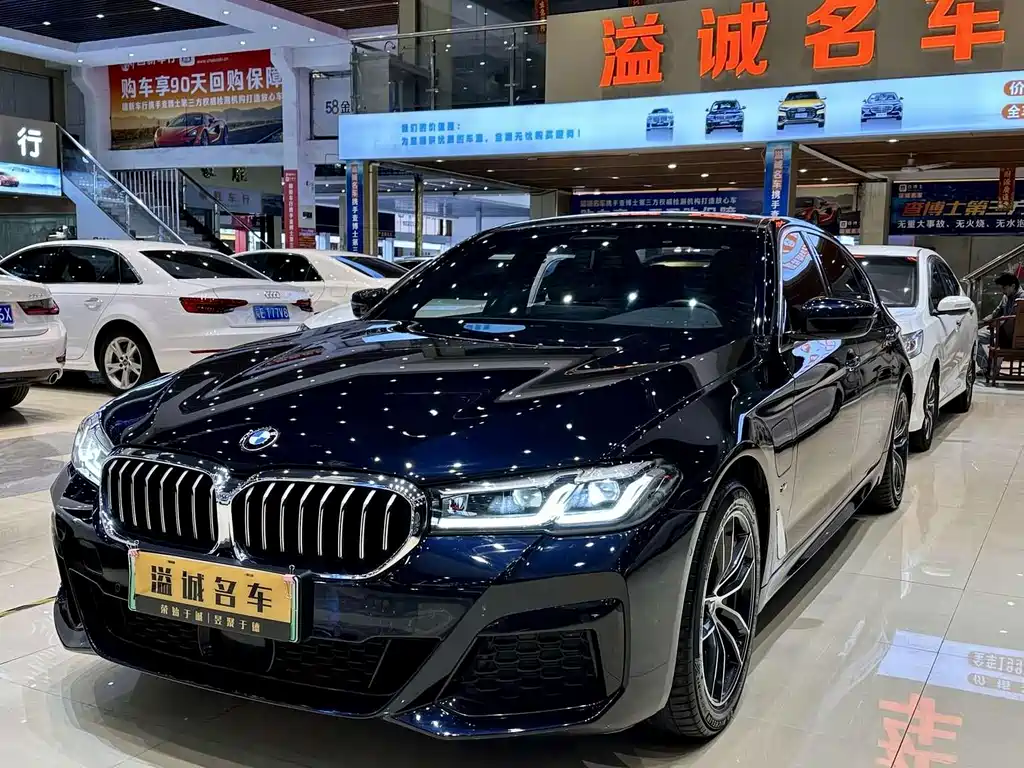 BMW 5 Series New Energy 2021