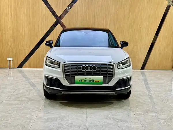 Audi Q2L E-Tron 2020