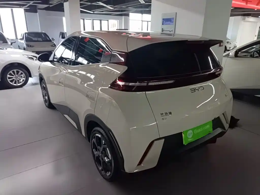 BYD Seagull 2025
