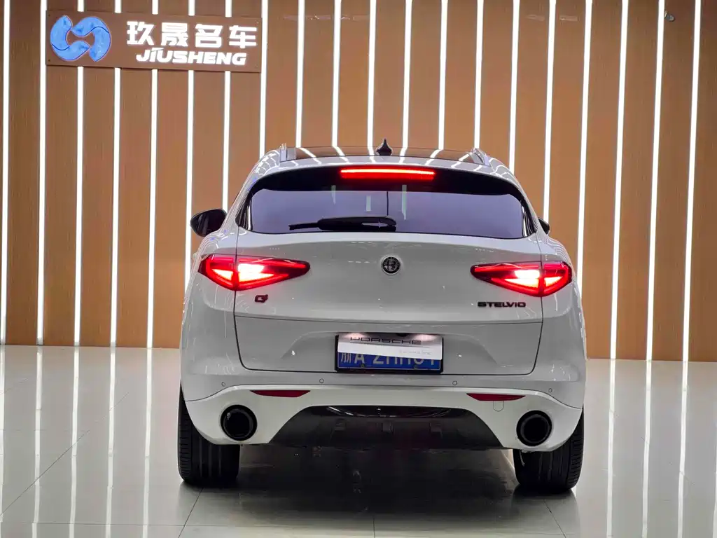 Alfa Romeo Stelvio 2019 — фото 4