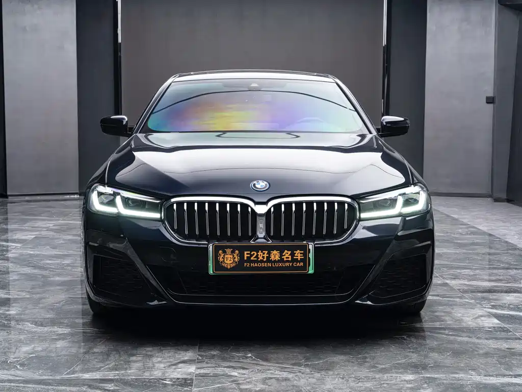 BMW 5 Series New Energy 2022