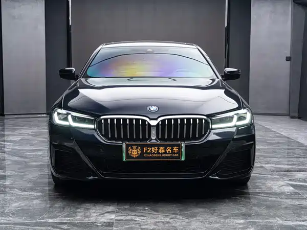 BMW 5 Series New Energy 2022