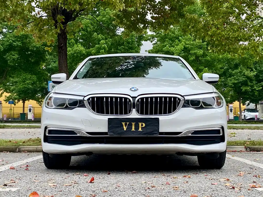BMW 5 Series 2019 — фото 2