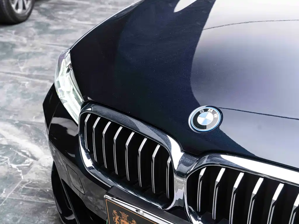 BMW 5 Series New Energy 2022