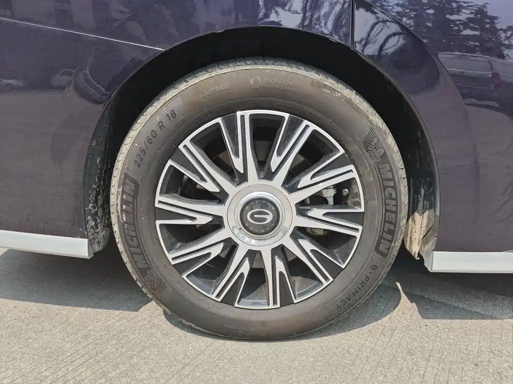 GAC Motor Trumpchi E9 2023 — фото 22