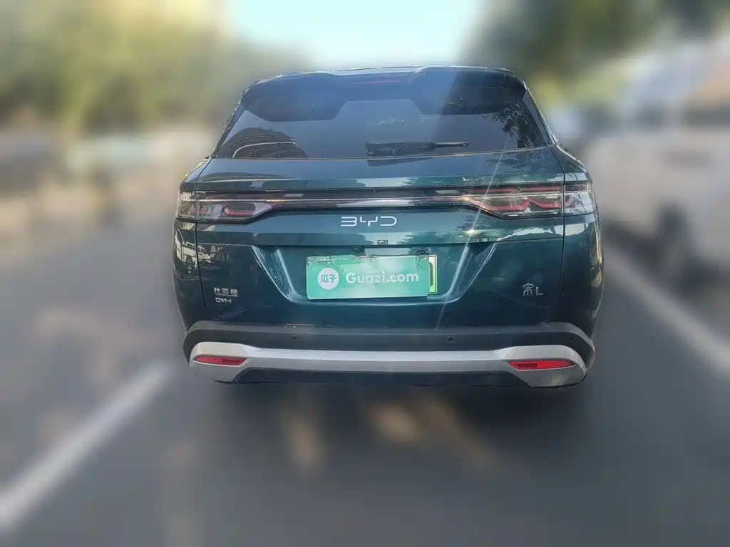 BYD Song L DM-i 2024 — фото 4