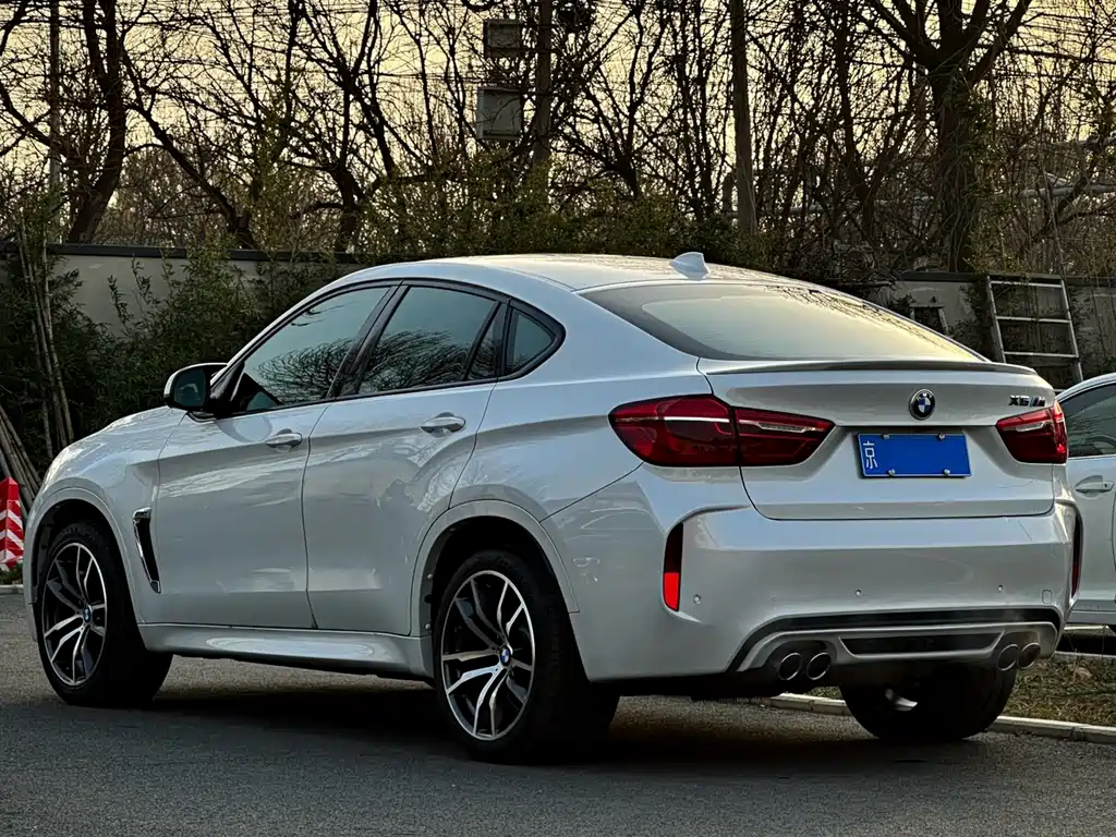 BMW X6 M 2017 — фото 13
