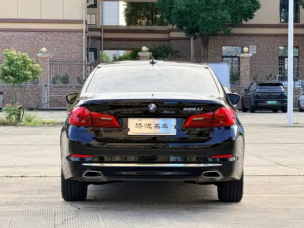 BMW 5 Series 2019