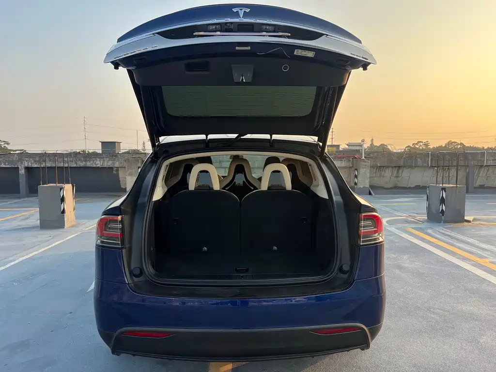 Tesla Model X 2017 — фото 17