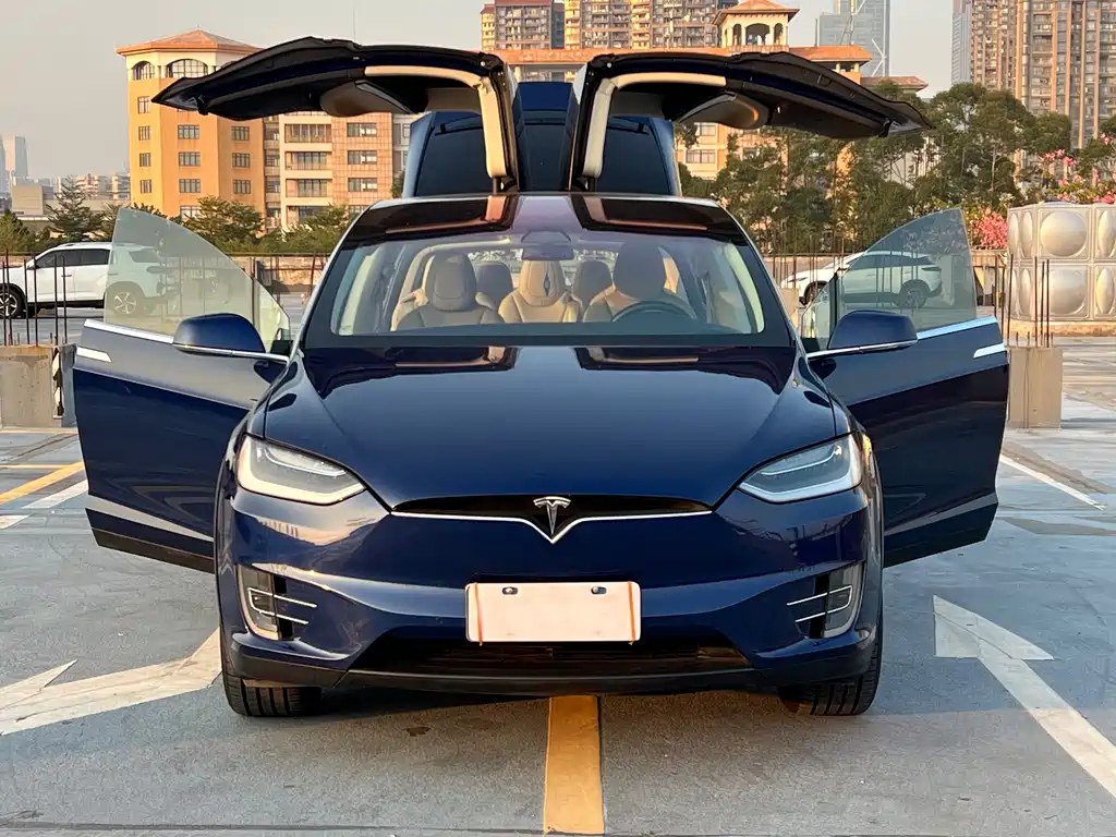Tesla Model X 2017 — фото 20