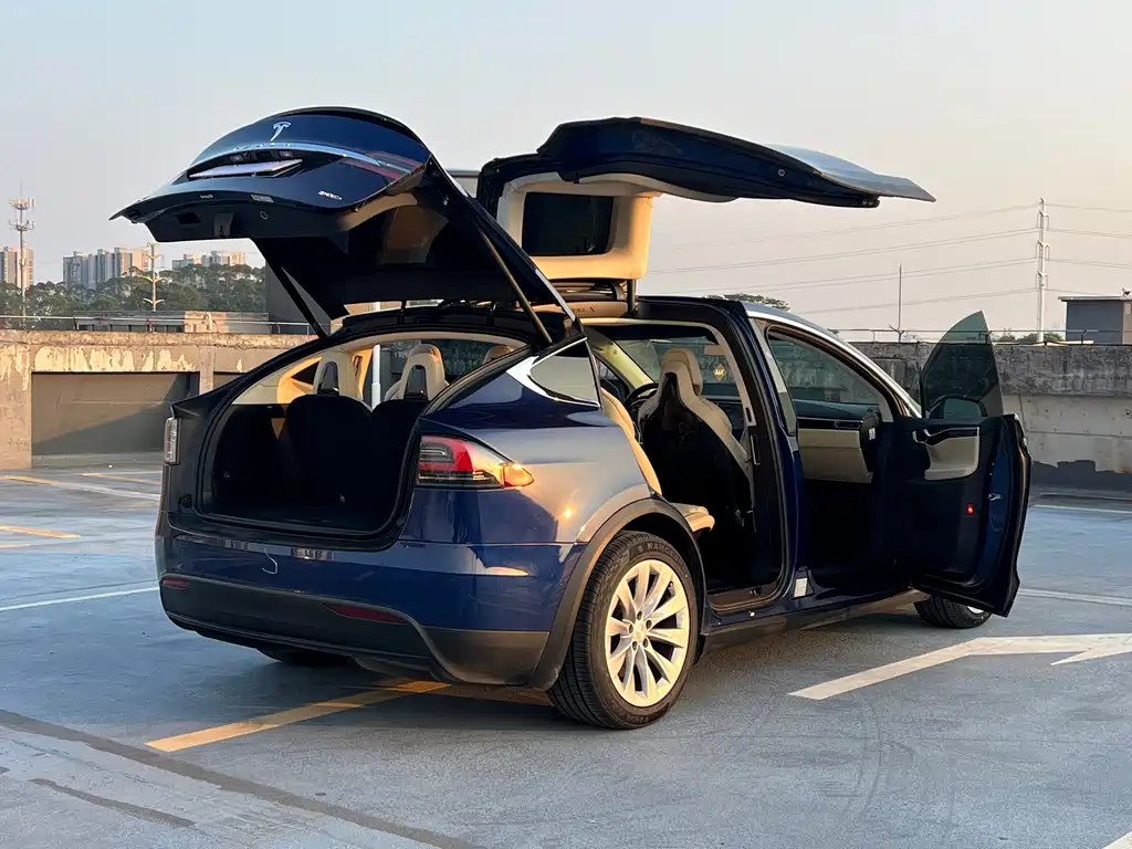 Tesla Model X 2017 — фото 24