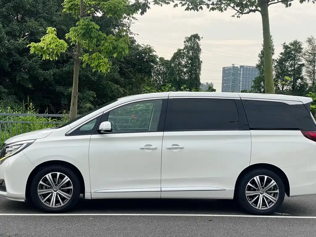 GAC Motor Trumpchi M8 2019 — фото 6