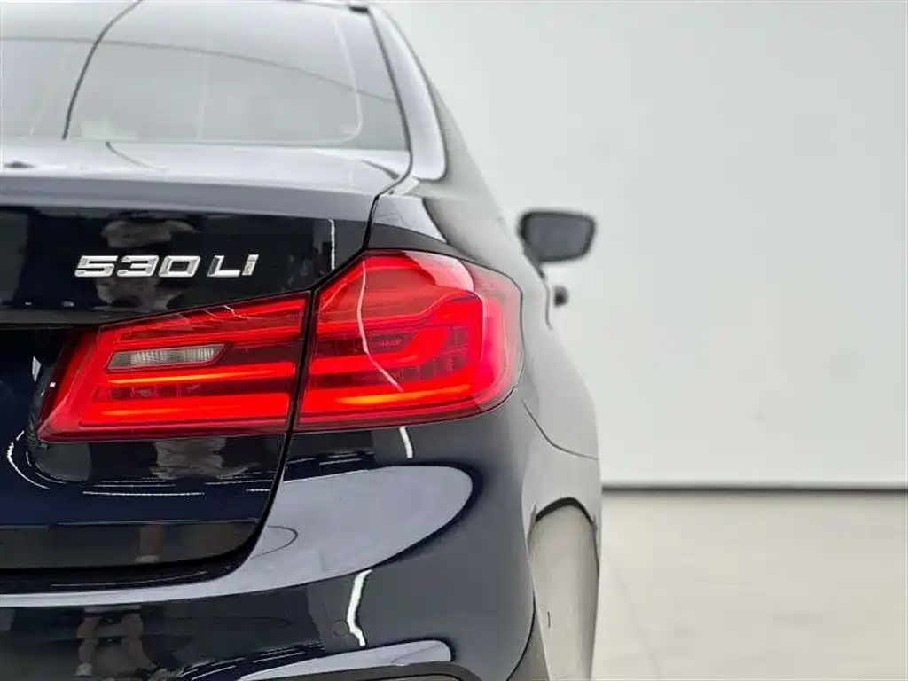 BMW 5 Series 2019 — фото 18