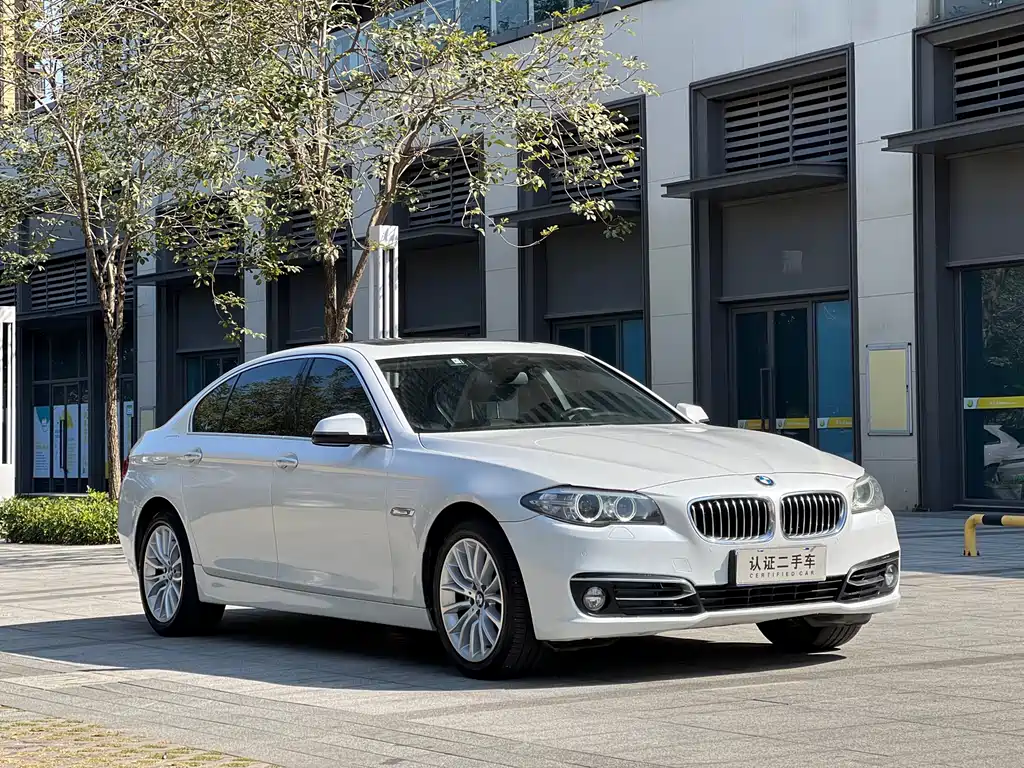 BMW 5 Series 2014 — фото 3