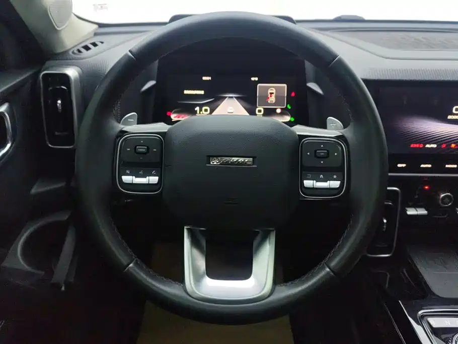 Haval Big Dog 2022 — фото 14