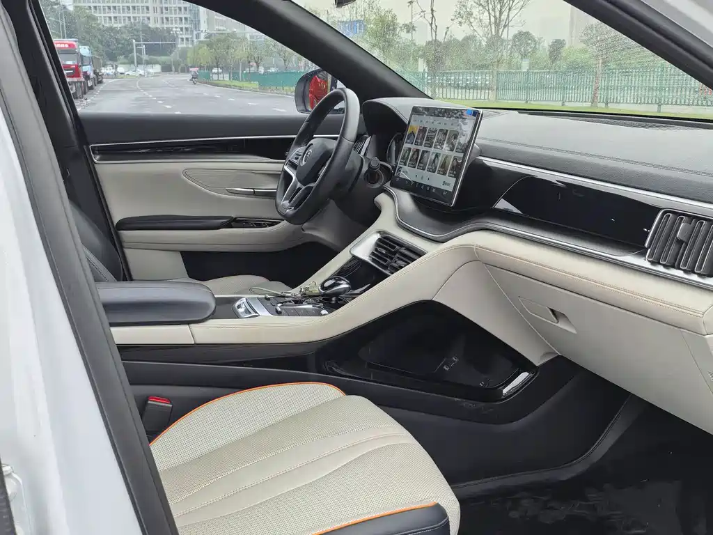 BYD PLUS New Energy 2021 — фото 18