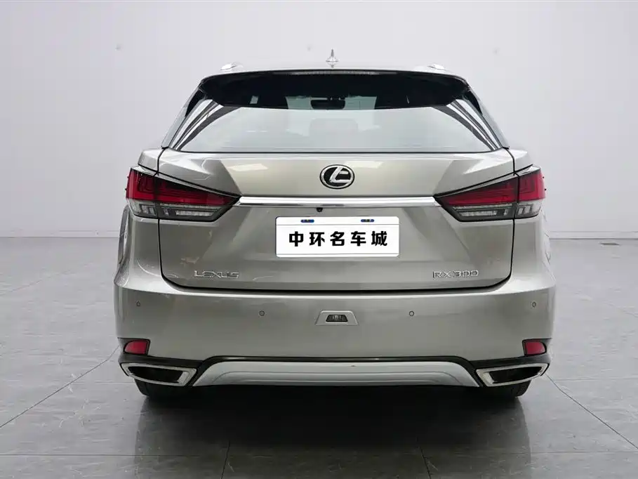 Lexus RX 2022 — фото 17