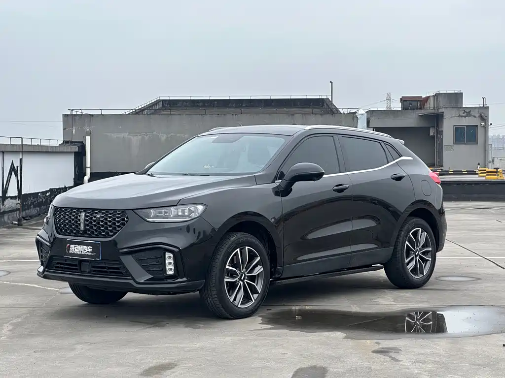 Wey VV5 2020