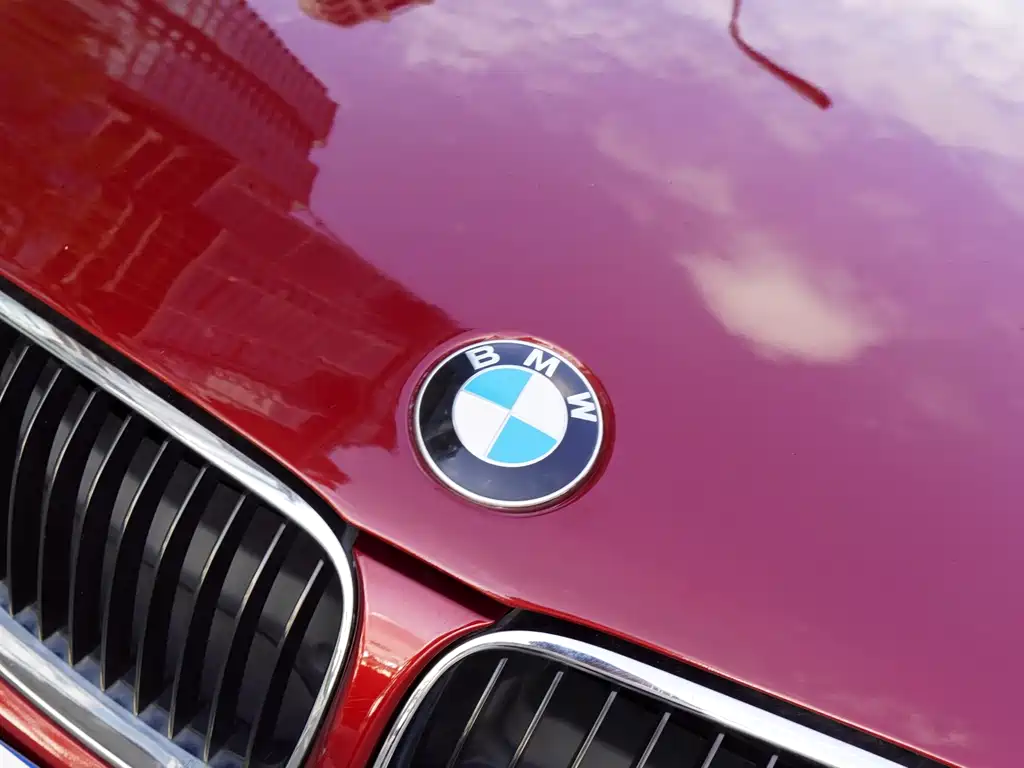 BMW 3 Series 2010 — фото 18