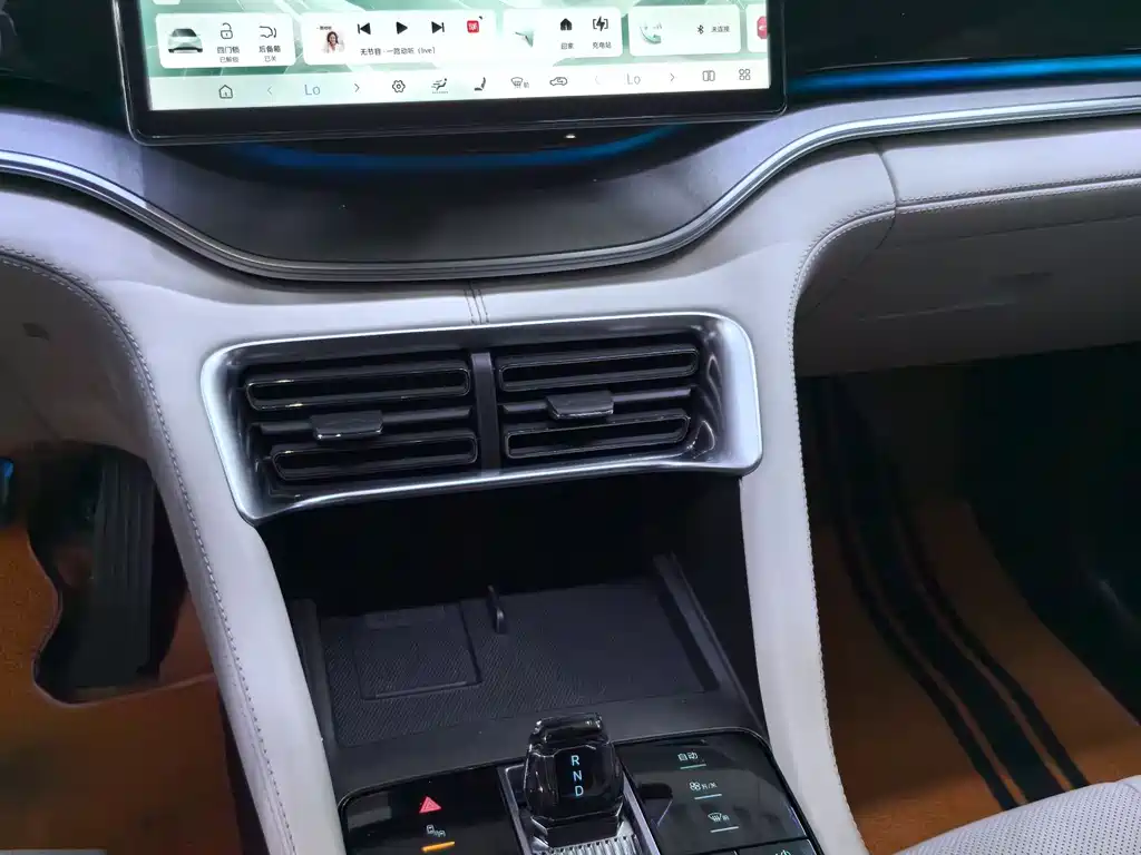 BYD PLUS New Energy 2024 — фото 10