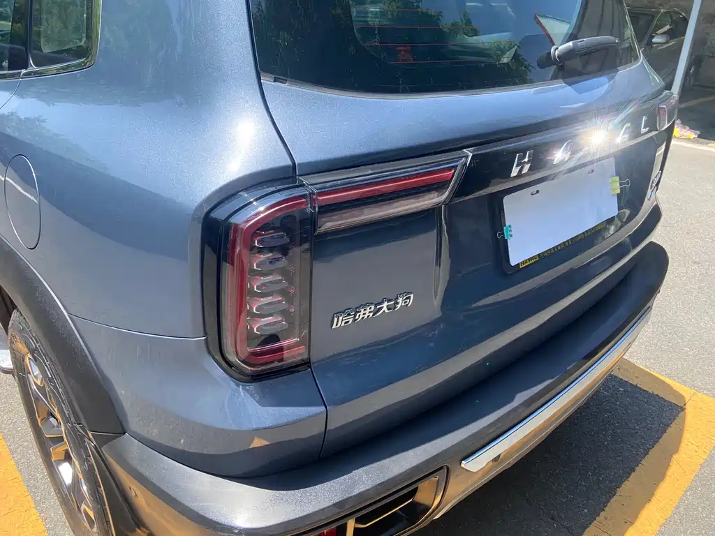 Haval Big Dog 2021 — фото 13