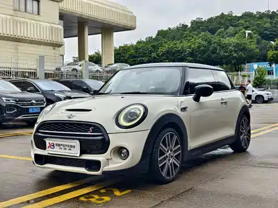 MINI MINI 2020