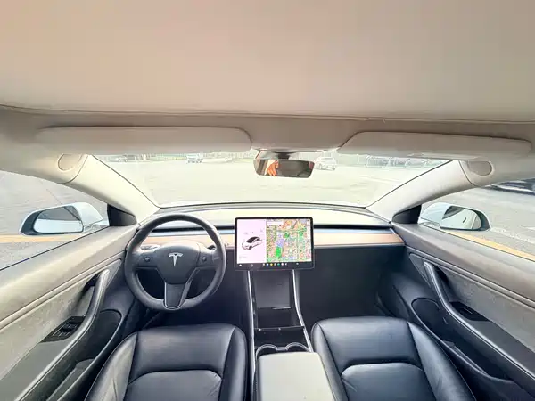 Tesla Model 3 2019