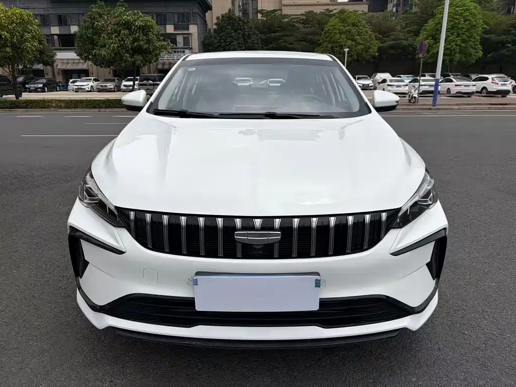 Geely Binrui 2024