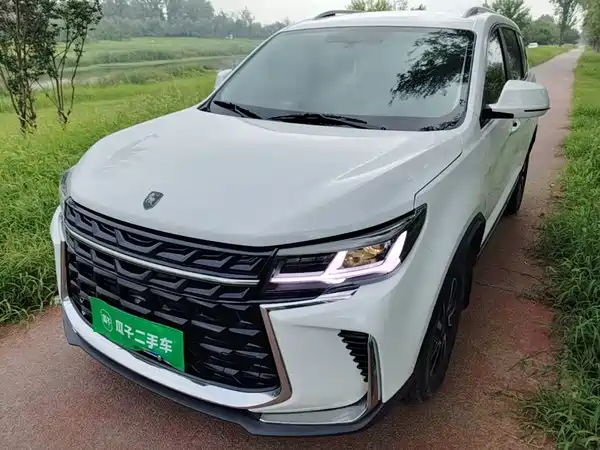 Dongfeng Fengxing T5 2023