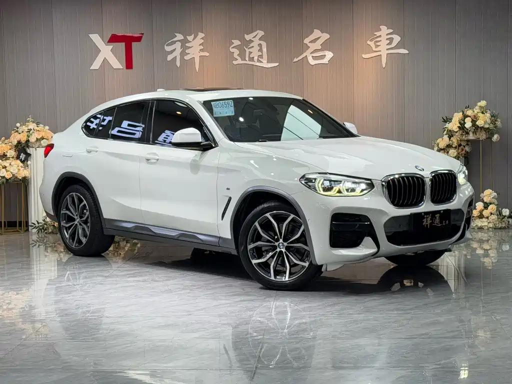 BMW X4 2019 — фото 3