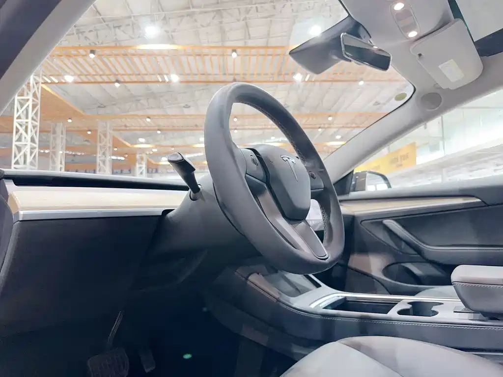 Tesla Model 3 2021 — фото 18