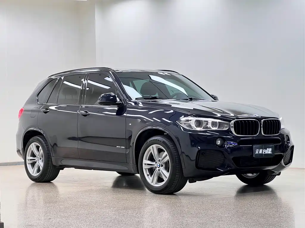 BMW X5 2017 — фото 3