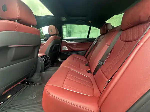 BMW 5 Series New Energy 2021