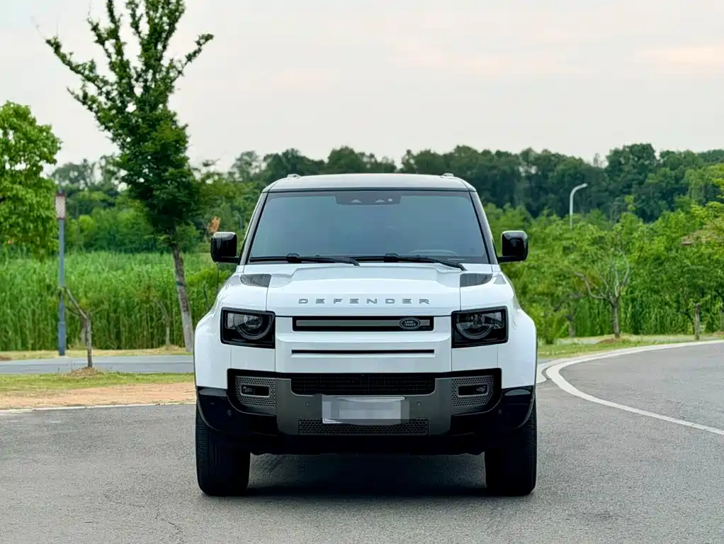 Land Rover Defender 2024 — фото 2