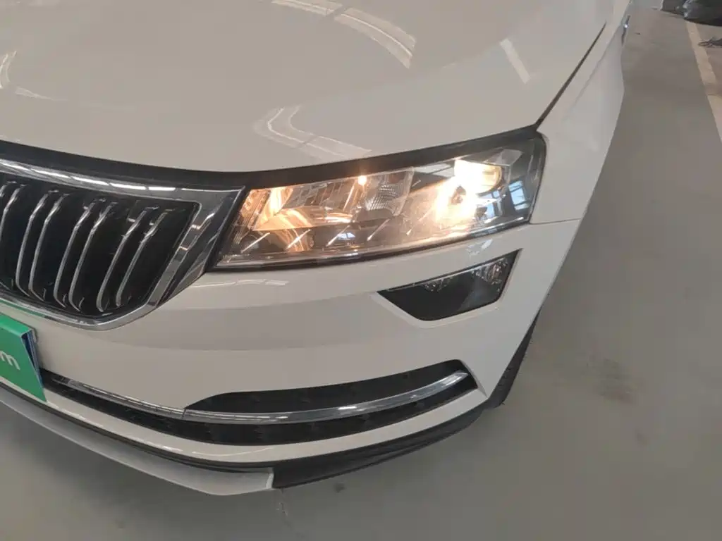 Skoda Karoq 2019 — фото 24