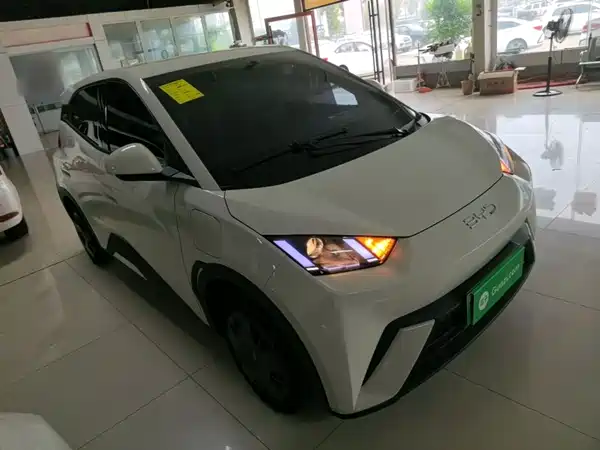 BYD Seagull 2024