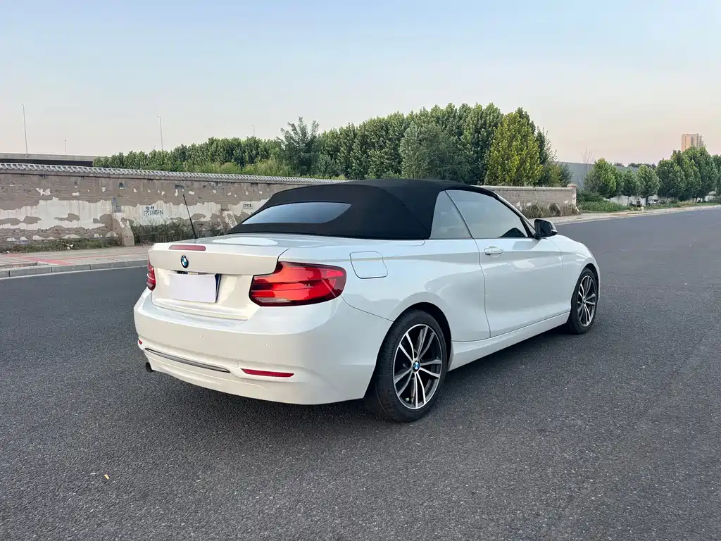 BMW 2 Series 2019 — фото 21
