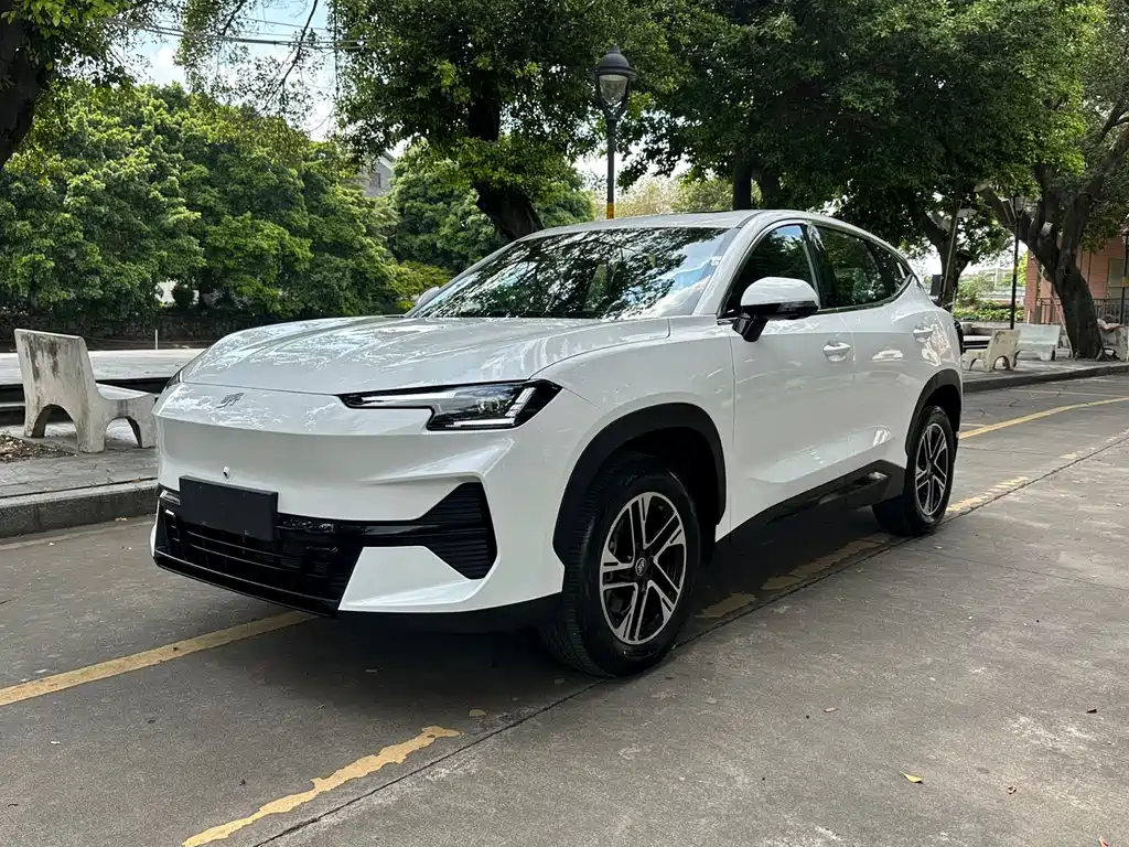 Shanhai L6 2025
