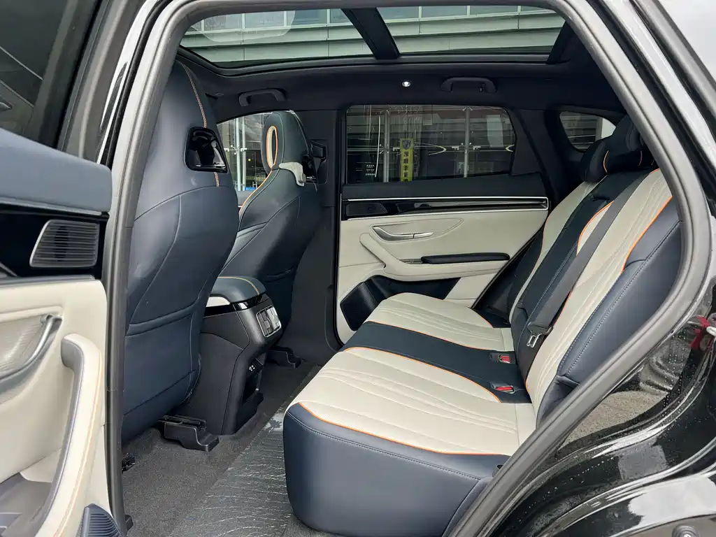 BYD PLUS New Energy 2023 — фото 10