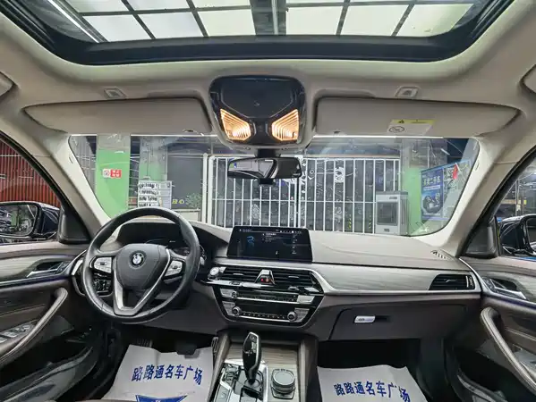 BMW 5 Series New Energy 2020
