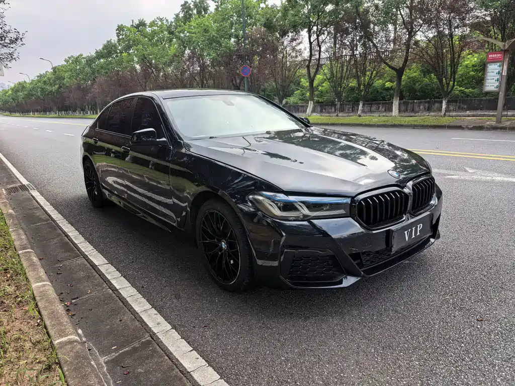 BMW 5 Series 2013