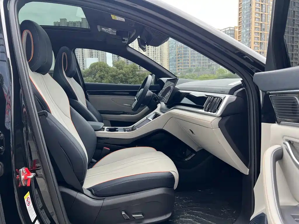 BYD PLUS New Energy 2023 — фото 11