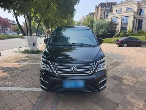 Dongfeng Lingzhi 2019