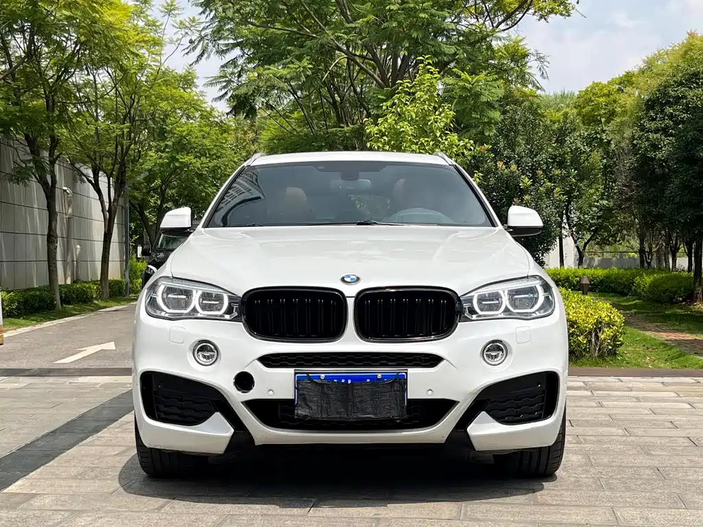 BMW X6 2017 — фото 2