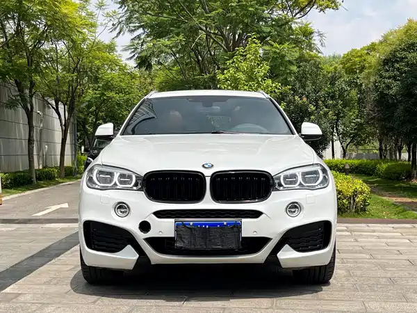 BMW X6 2017