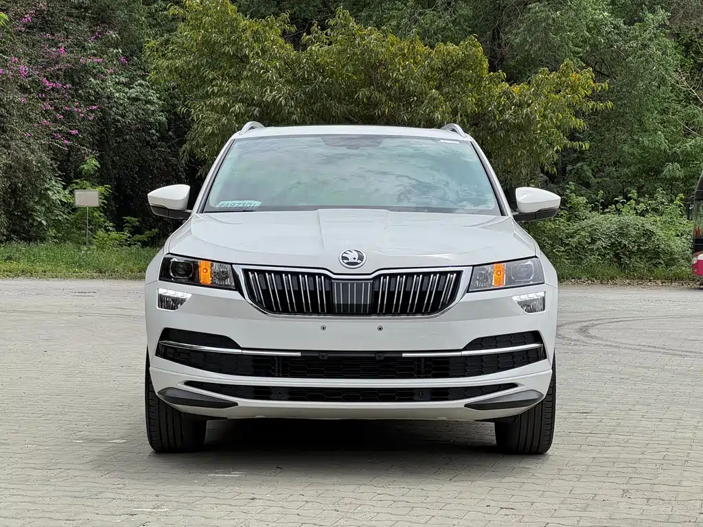 Skoda Karoq 2022 — фото 2