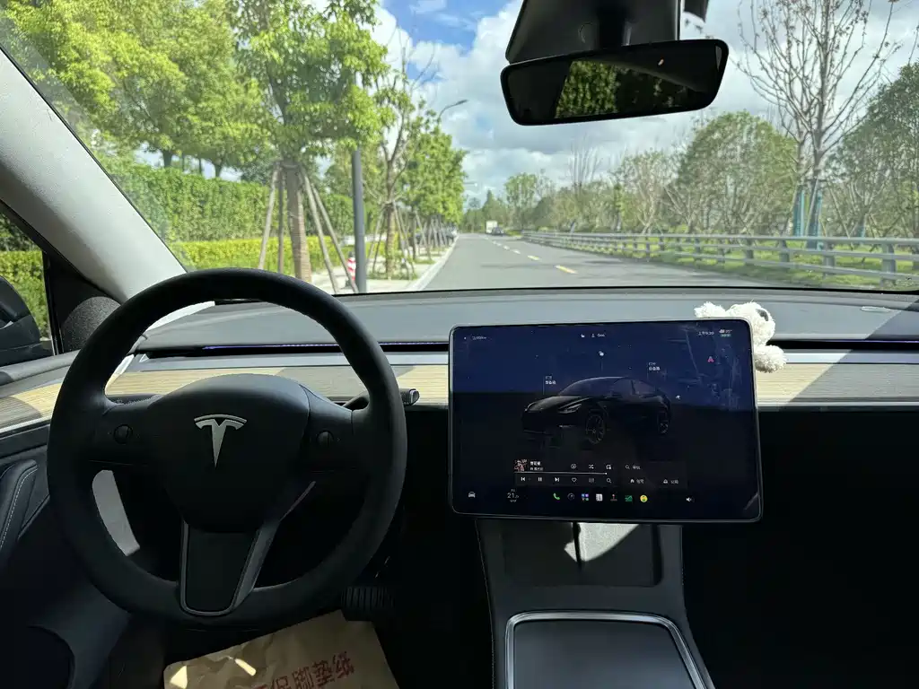 Tesla Model Y 2023 — фото 9