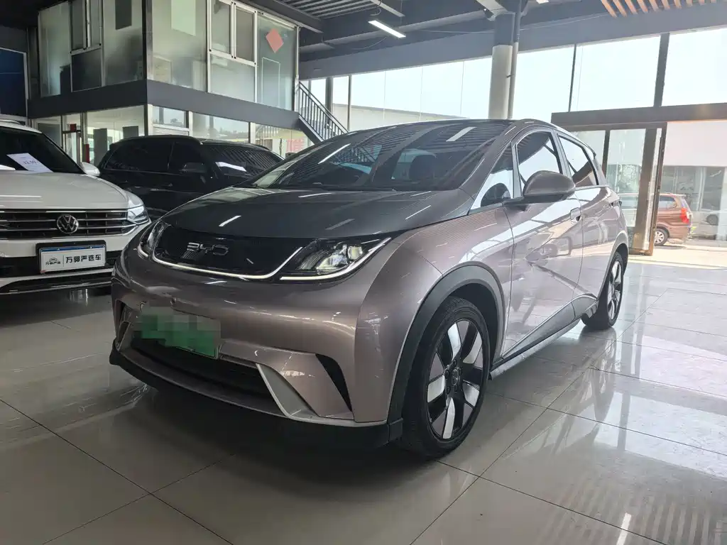BYD Dolphin 2022