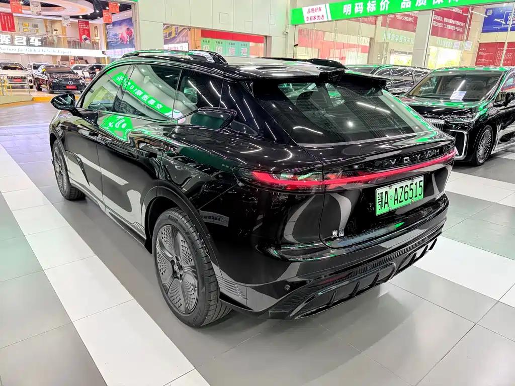 VOYAH Zhiyin 2025